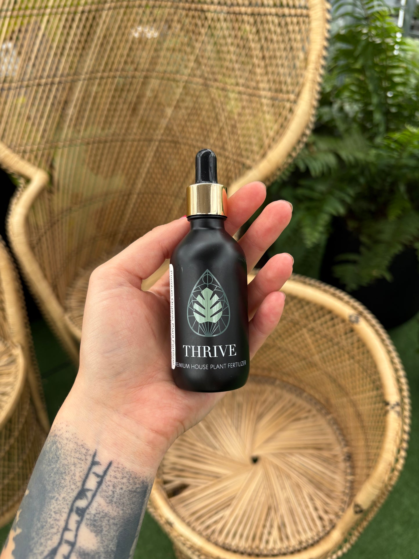 Hand holding a black bottle with a gold cap and 'Thrive' branding against a natural background.