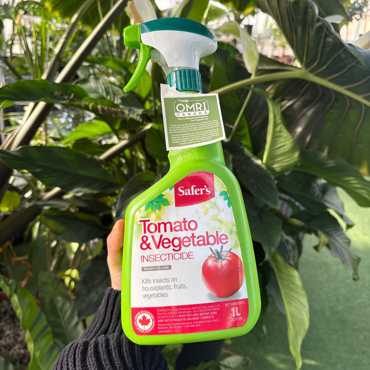 a person holding a green spray bottle of tomato and vegetable insecticide with many tropical plants in the background