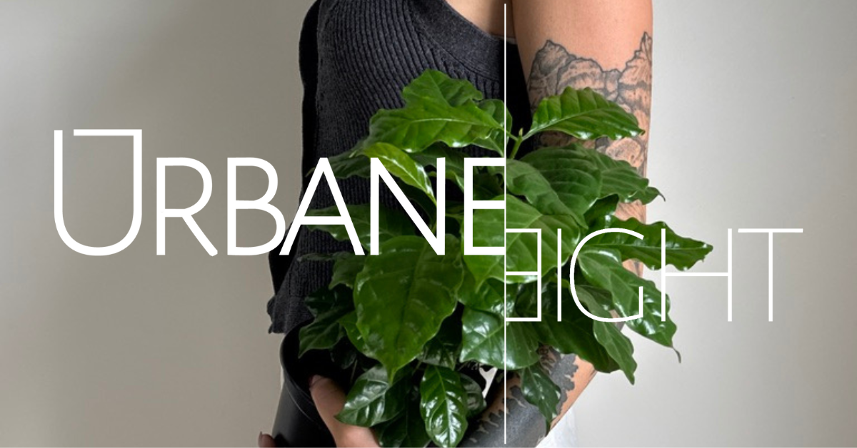 Evening Gown Heuchera | Proven Winners  Urbane Eight Inc.