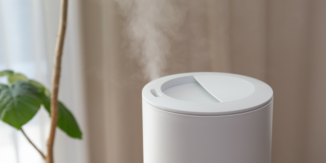 a humidifier misting next to a growing house plant