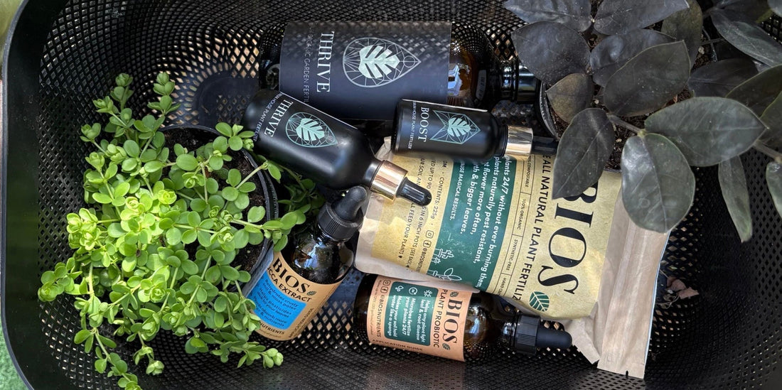 a shopping basket full of premium organic houseplant fertilizers