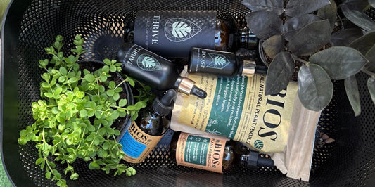 a shopping basket full of premium organic houseplant fertilizers
