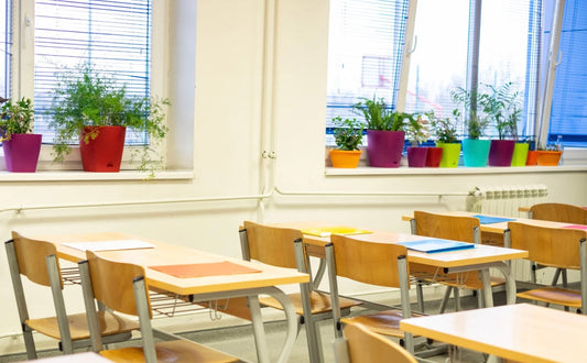 a picture of a classroom with desks lines up and booklets sitting on the desk in front of the windows with 10 houseplants sitting on the window ledge in multi coloured pots