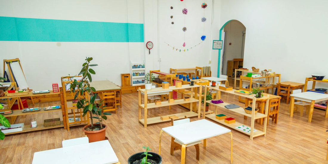 a classroom setting for a Montessori classroom with a rubber tree plant