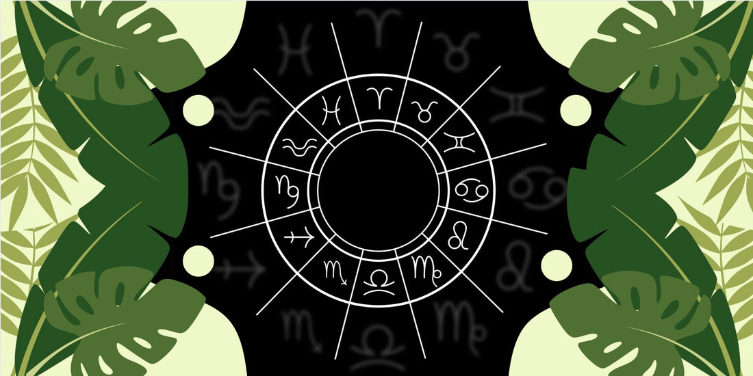 zodiac chart on black background with green leafy border