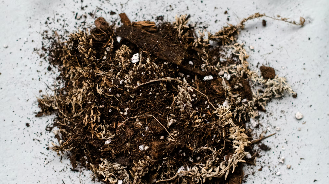 a close up of potting mix for houseplants on a grey table