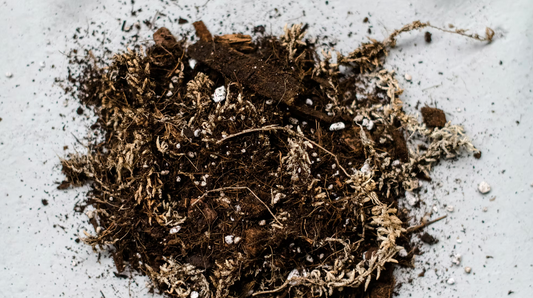 a close up of potting mix for houseplants on a grey table