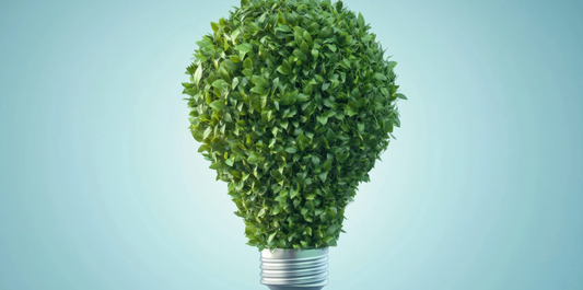 lightbulb made of greenery against a blue background