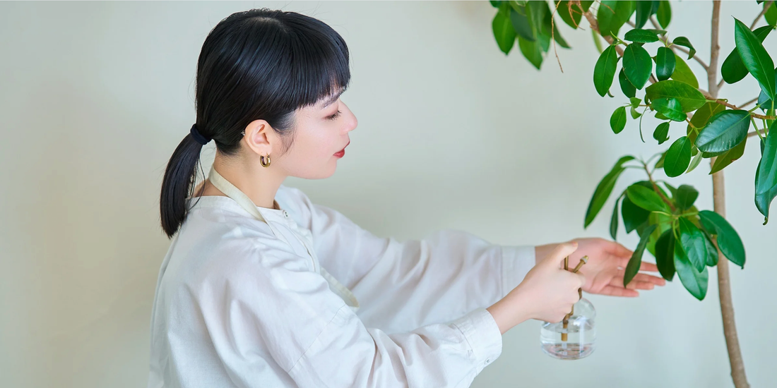 woman taking care of a tropical house plant against a white background