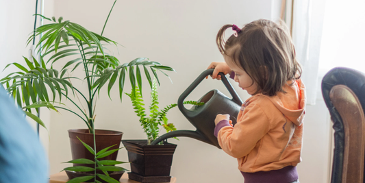 a young girl watering tropical house plants