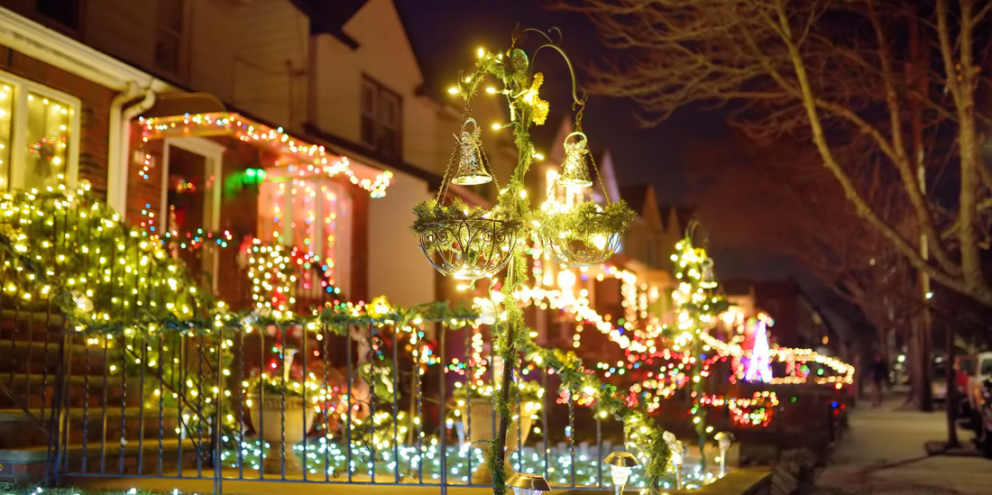 Festive Planters and Porch Pots for Alberta Winters