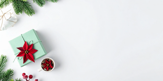 Plant Gifts for Every Type of Person on Your List