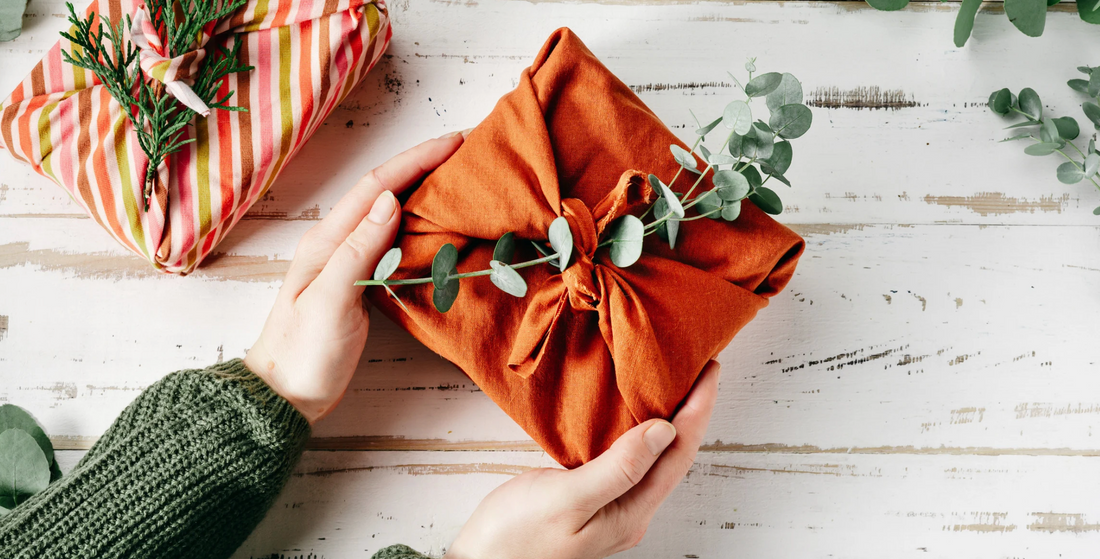 hands holding a cloth wrapped Christmas gift with a spin of plant on top