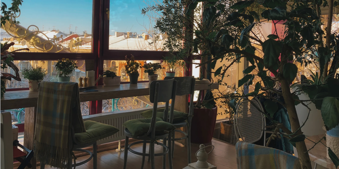 well lit cozy room with lots of house plants with a large window showing that there's snow outside