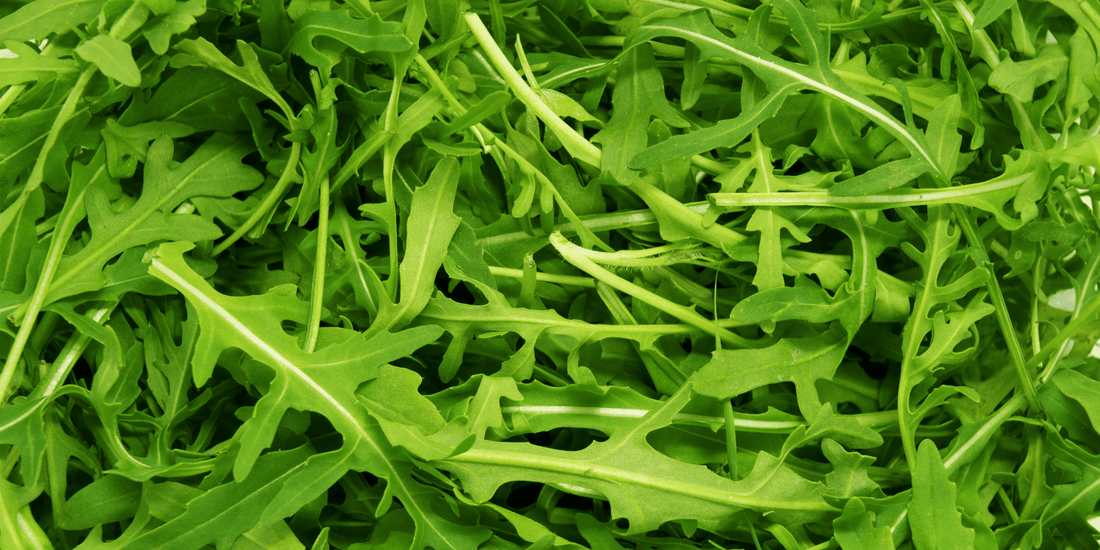 a close up of Surrey arugula green leaves all piled together