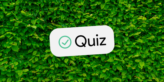 the word quiz in a white box with a background of many green leaves