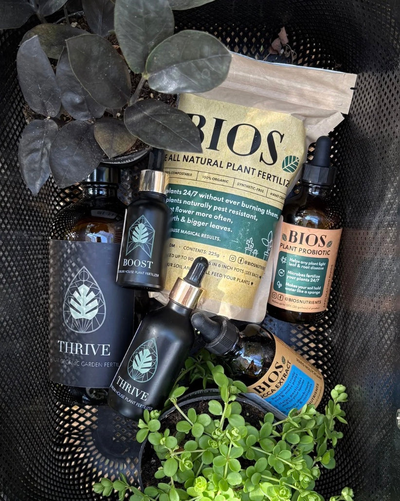 a picture of thrive indoor organic fertilizer, bio organic natural fertilizers, and yucca extract for indoor houseplants and outdoor plants, trees, shrubs, bedding out plants.