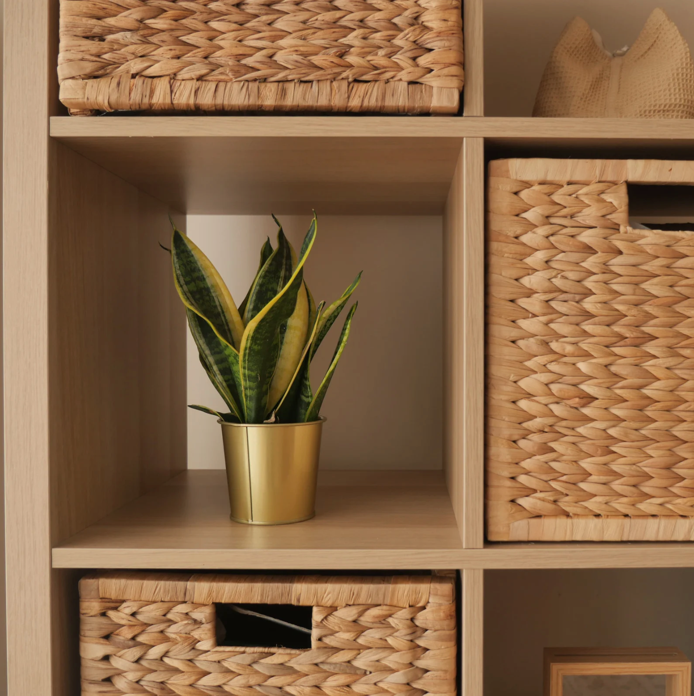 box style shelves designed with wicker baskets and houseplants