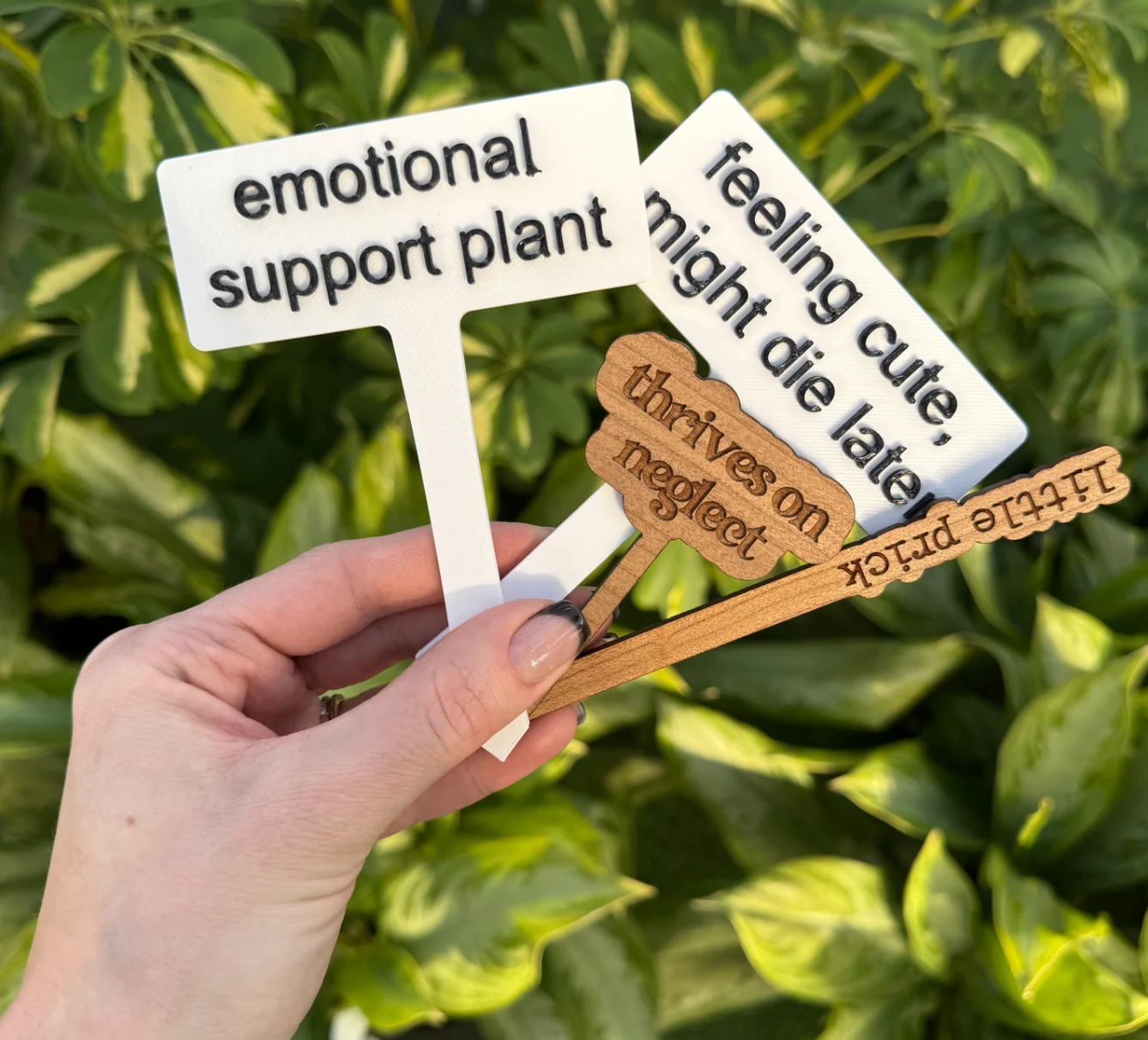 a hand holding a variety of plant stakes with plant related puns on them