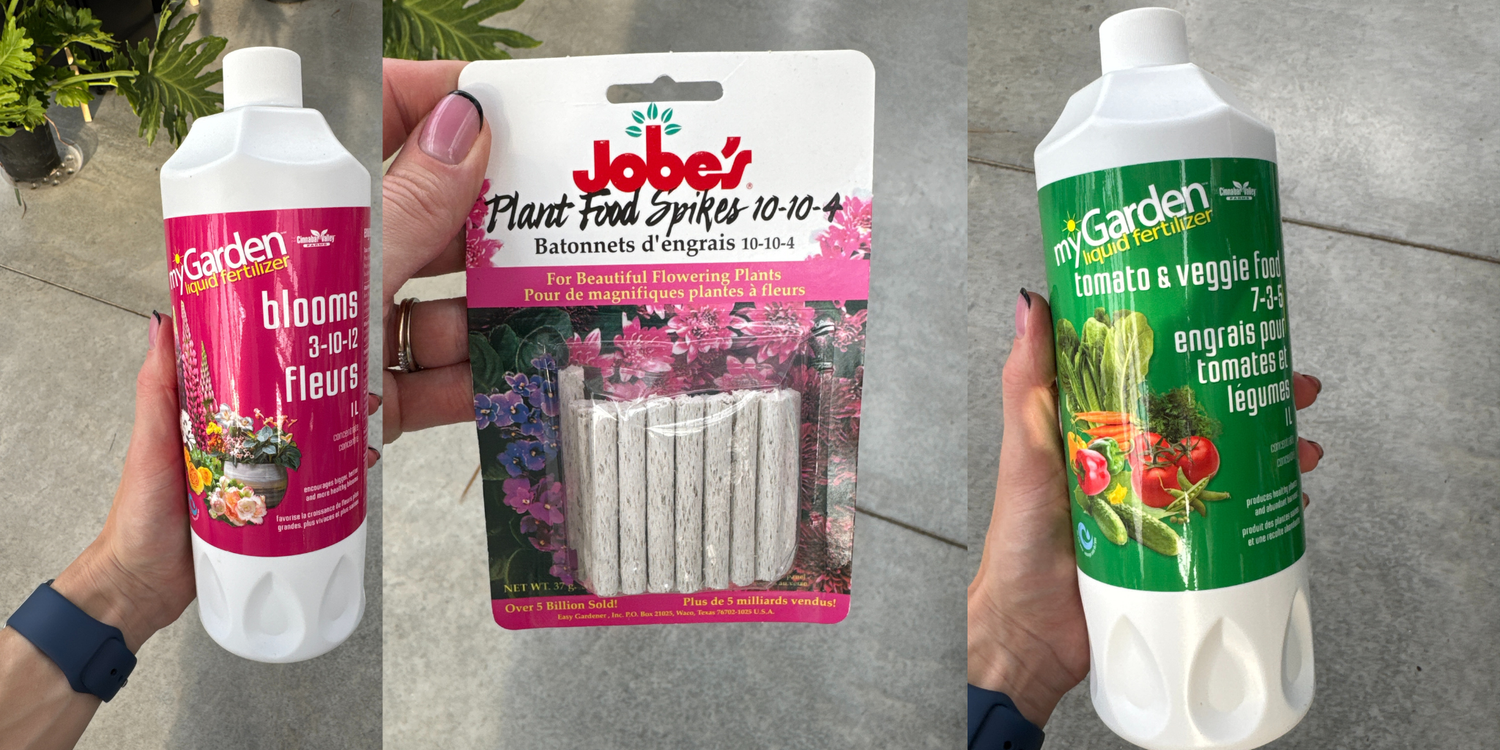 a picture of three different garden and outdoor fertilizers with a green concrete background