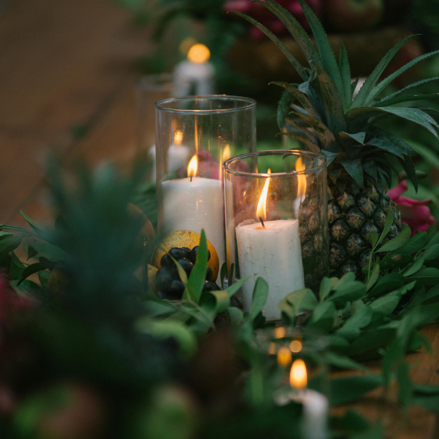 Seasonal holiday decor and plants styled for home display