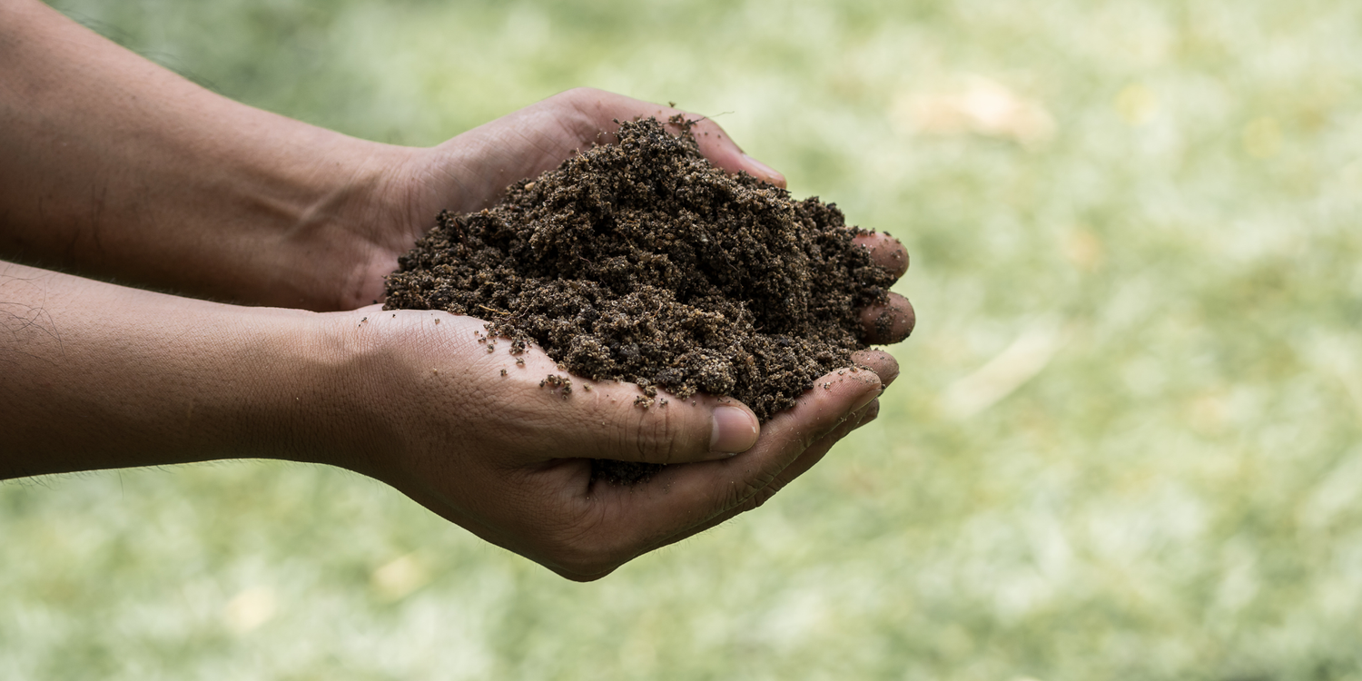 a person holding their hands together with outdoor soil in their hands with a blurred green background 