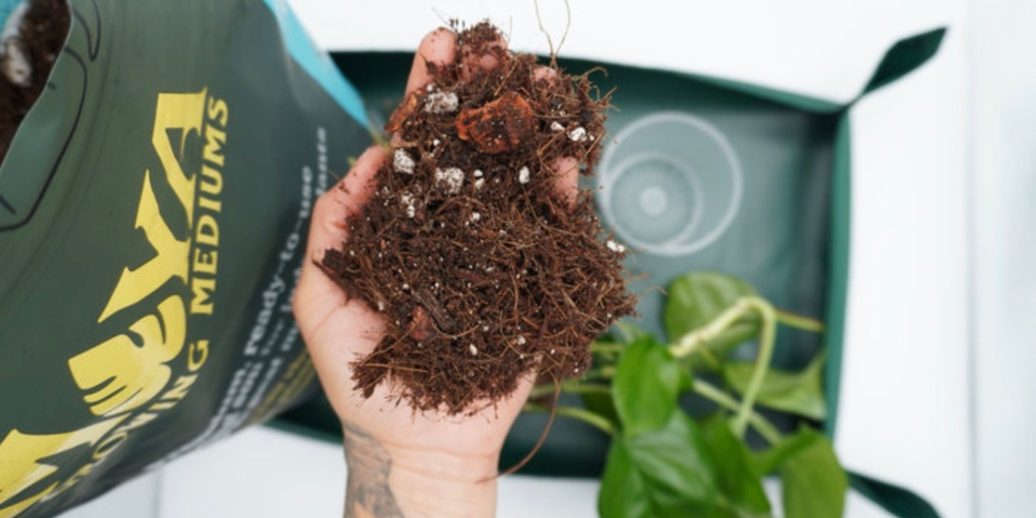 someone holding a handful of indoor potting mix over a green repotting mat with a plant and a bag of soil on a white background