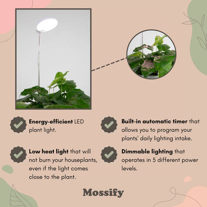 small indoor plant light LED Plant Light – Full Spectrum Grow Light for Indoor Plants – Urbane Eight Inc