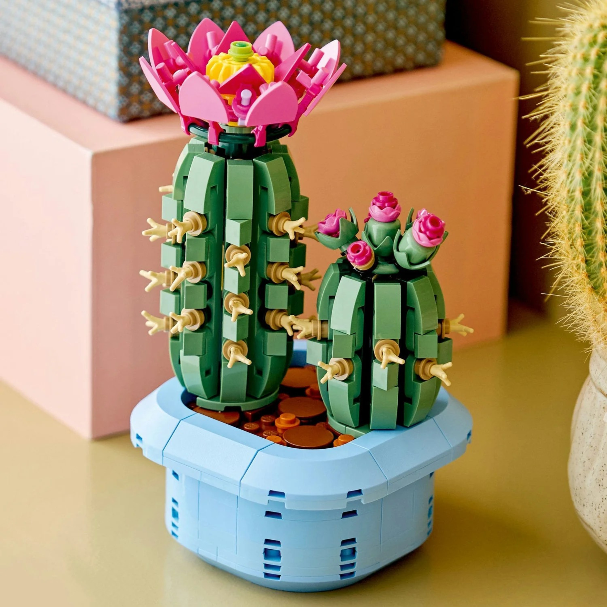 LEGO Botanicals Flowering Cactus 11509 building set 