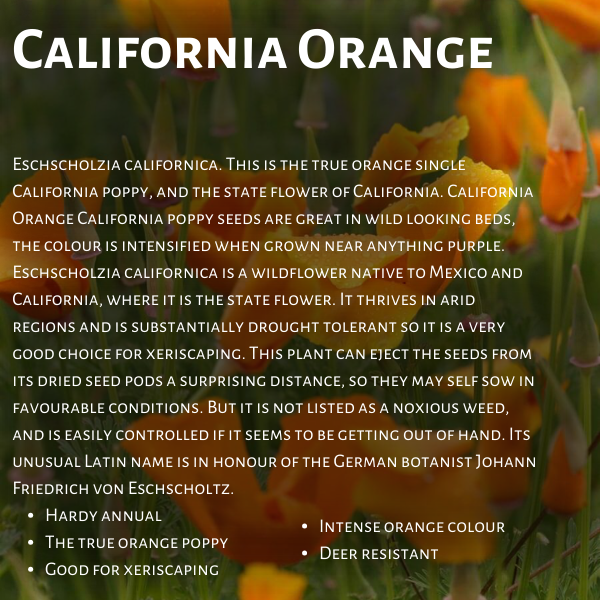 West Coast Seeds