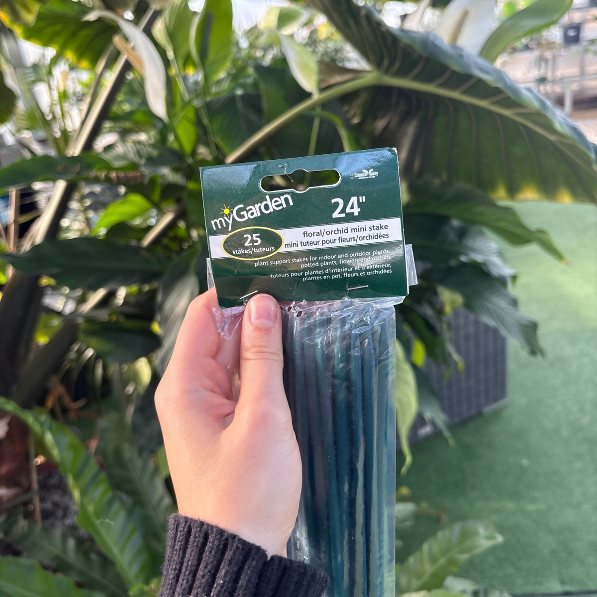 a person holding a plastic package of dark green floral and orchid mini stakes showing the label at the top of the package that reads 24" floral/orchid mini stakes, 25 stakes. with many tropical plants in the background