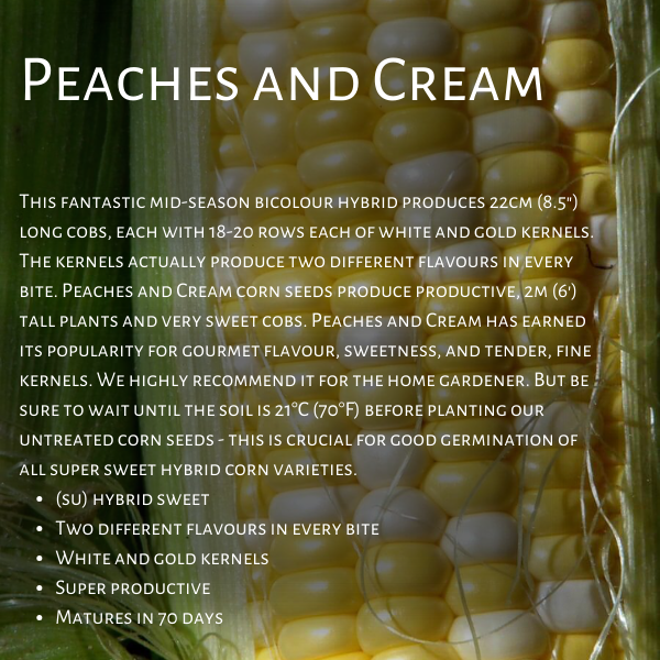 West Coast Seeds