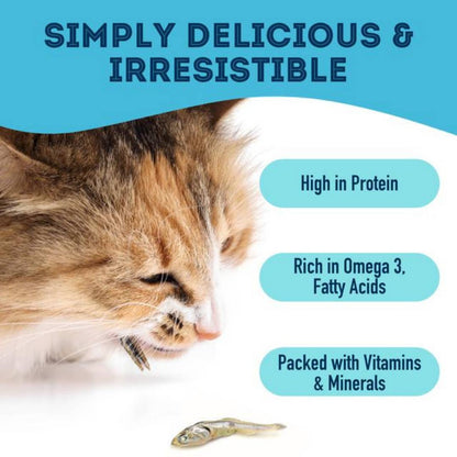 Friandises déshydratées aux sardines pour animaux : riches en protéines et naturelles 90 g
