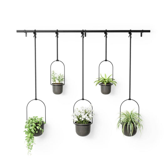 Triflora Hanging Planter Large - Set of 5 - Black