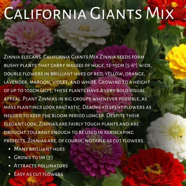 West Coast Seeds
