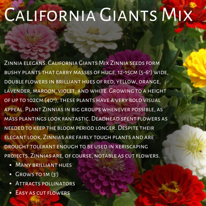 West Coast Seeds