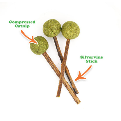 Sucettes – Bâtonnets de vigne argentée à l'herbe à chat – Friandises à mâcher naturelles pour chats