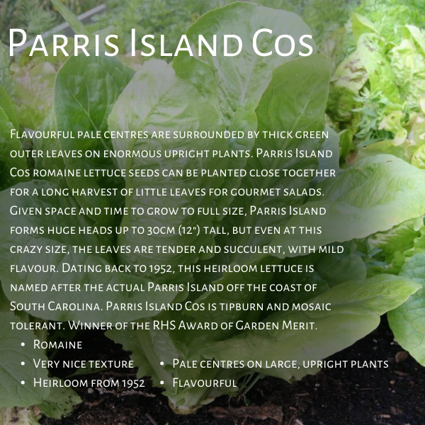 West Coast Seeds