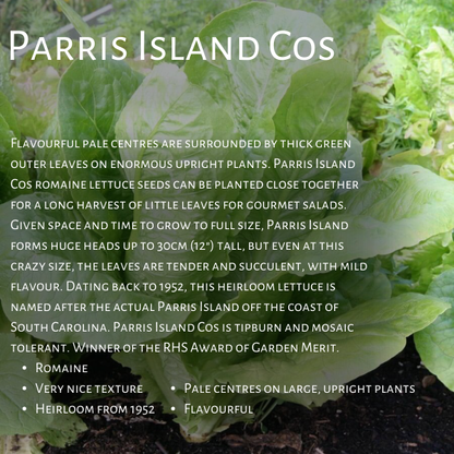 West Coast Seeds