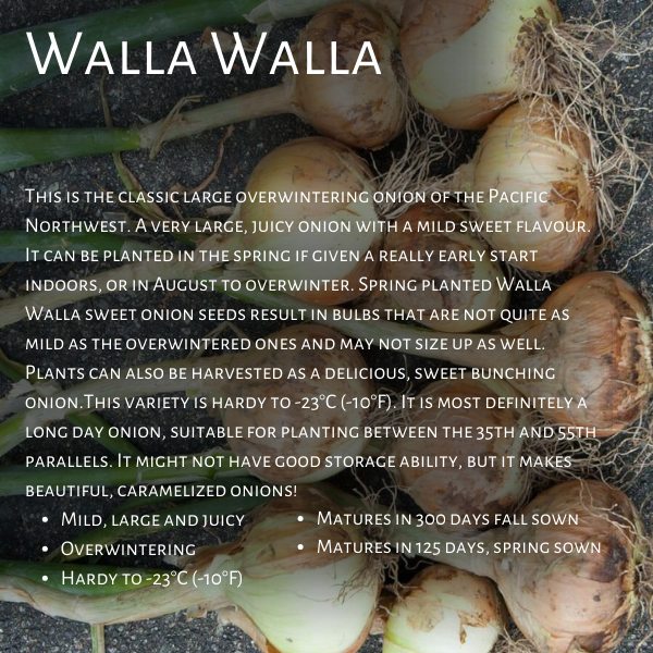 West Coast Seeds