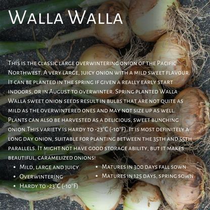West Coast Seeds