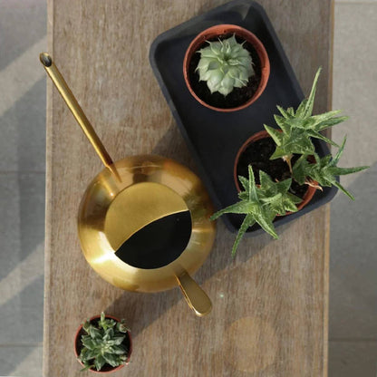 indoor plant watering trays Gold Watering Can – Elegant Indoor Plant Watering Accessory – Urbane Eight Inc