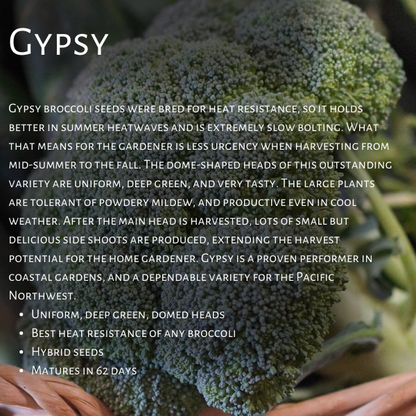 West Coast Seeds