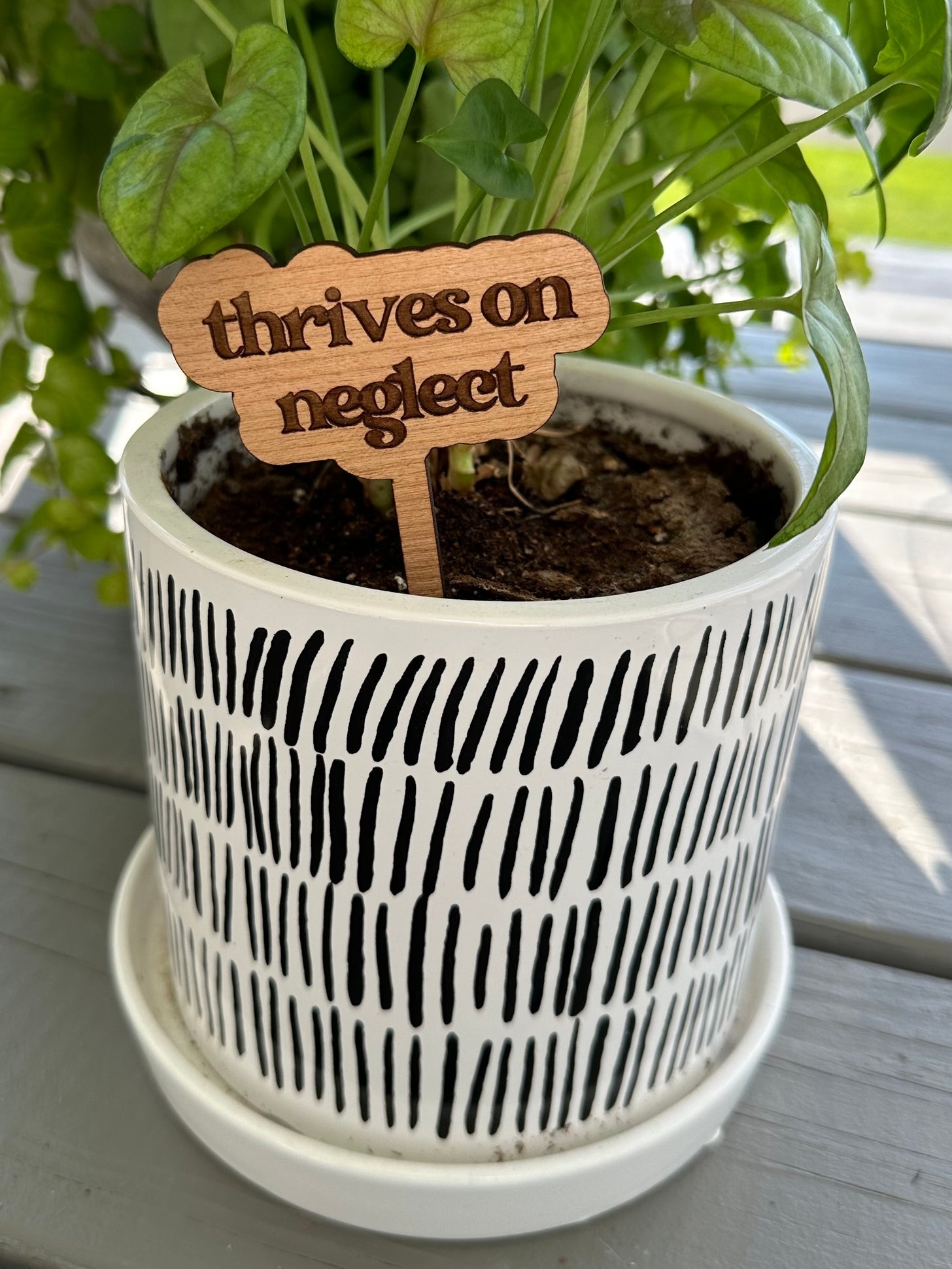 funny pots for plants Funny Plant Stakes – Humorous Plant Markers for Pots & Gardens – Urbane Eight Inc