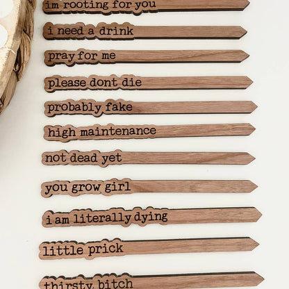 Punny Plant Stakes/ Funny Plant Markers