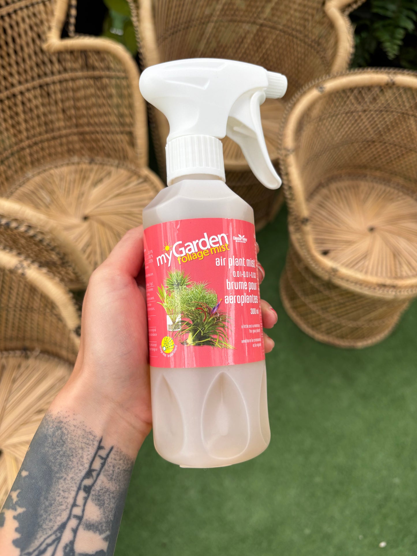 Hand holding a Air Plant Foliage Mist bottle with a red label against a green background.