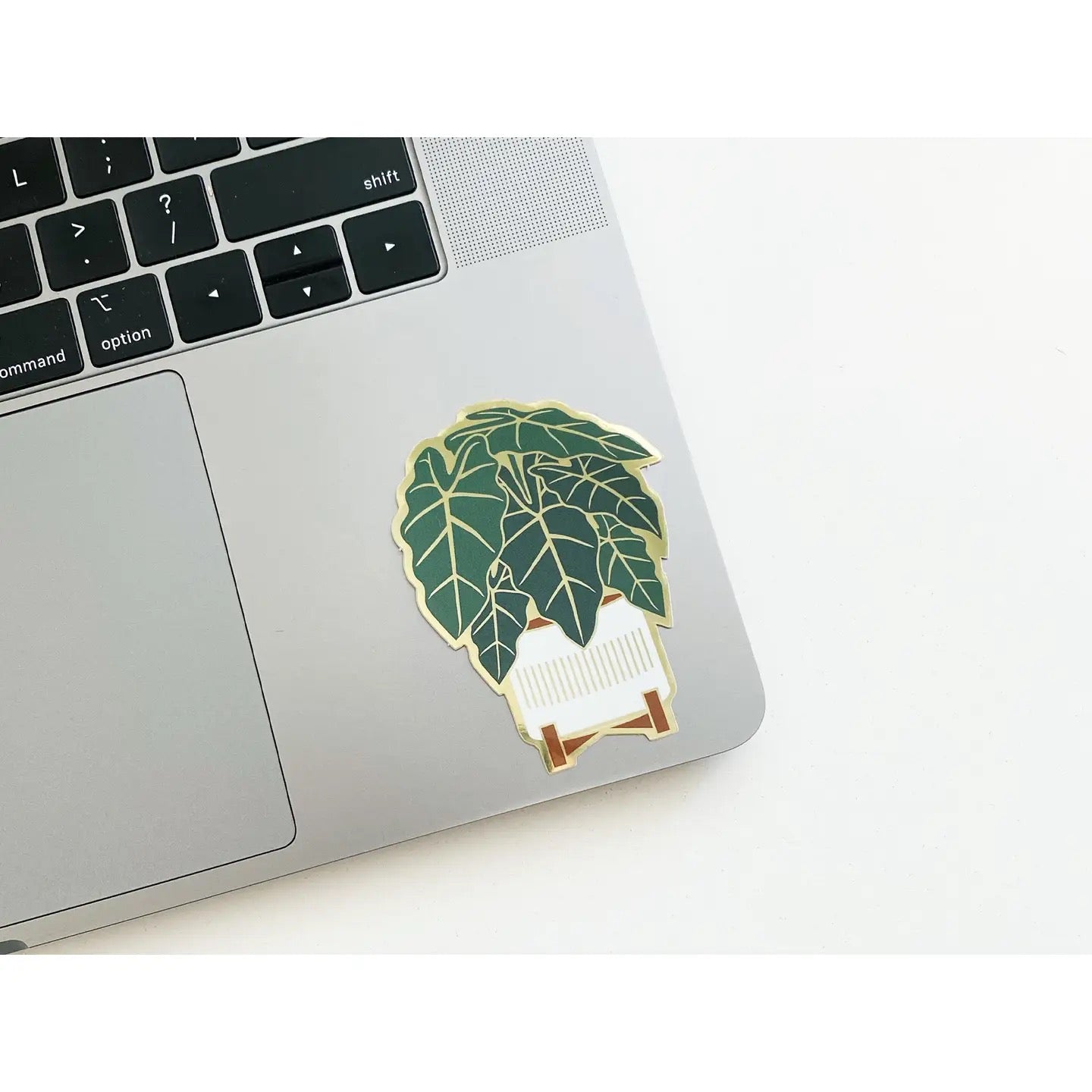 Laptop with a decorative sticker of a plant on a white surface