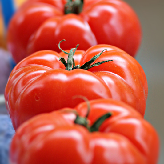 three bright red big beef plus tomatoes with green stems