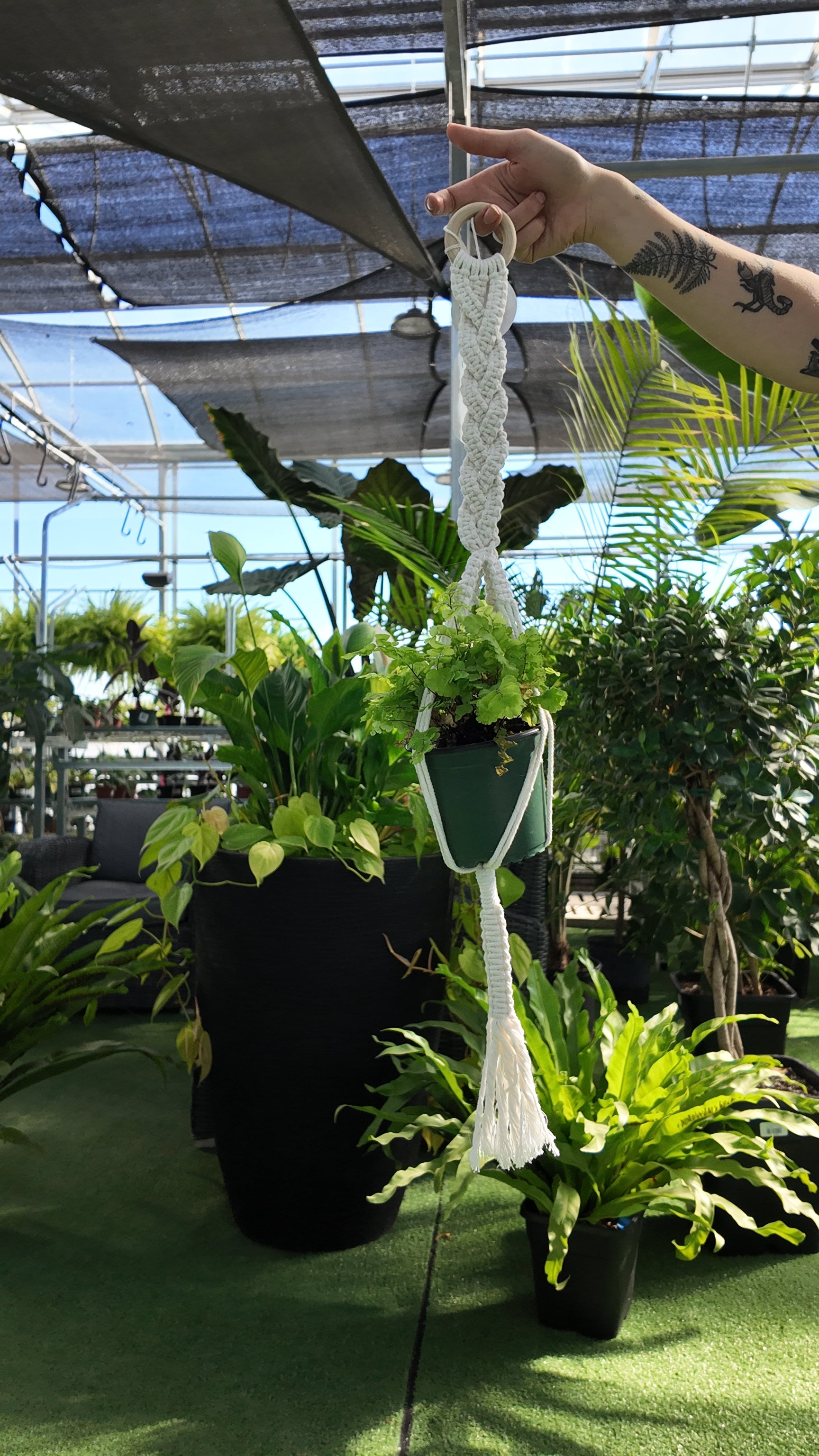 Hand holding a macrame plant hanger with plants in a greenhouse setting
