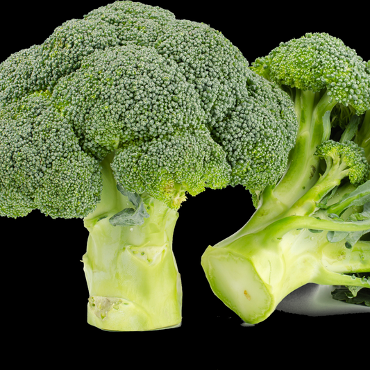 Two close-up views of a green lieutenant broccoli floret on a solid black background, with one whole piece and one cut piece showing the stem cross-section.